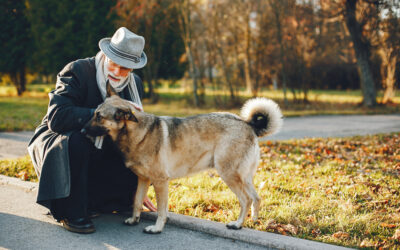 WHY IS HAVING A PET GOOD FOR ELDERLY PEOPLE?