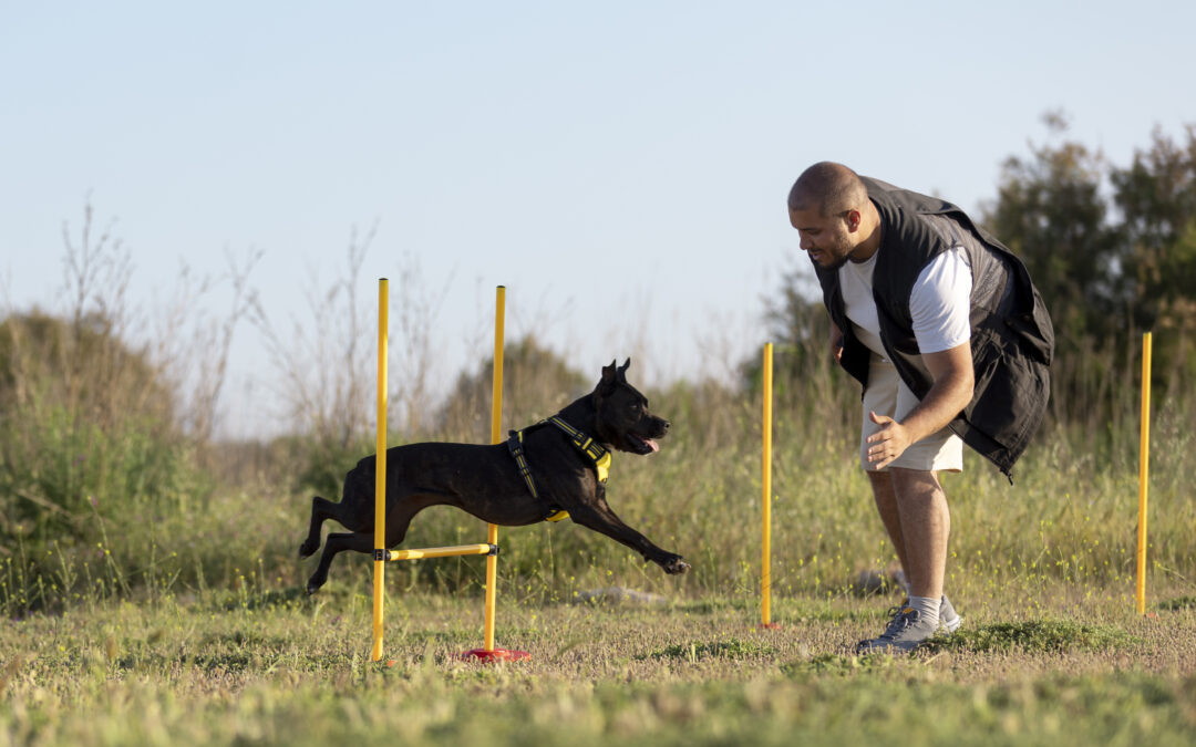 IMPORTANCE OF EXERCISE IN DOGS