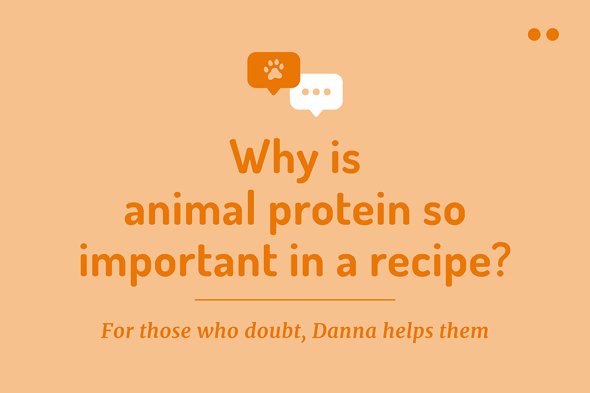 animal protein