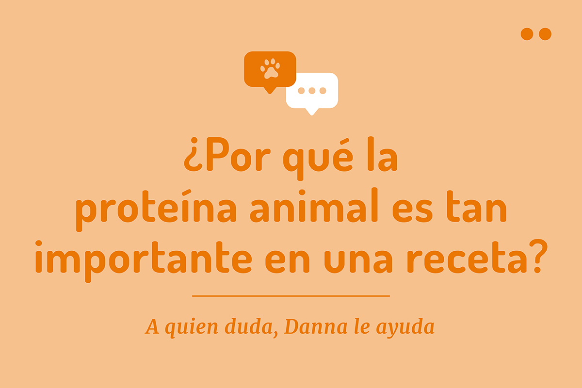 proteína animal